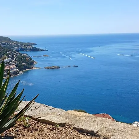 Coup De Coeur روساس